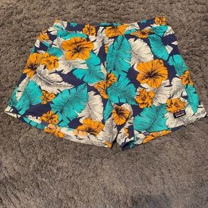 Patagonia Shorts